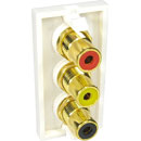 CANFORD AV MODULE Economy, Three RCA(phono) red/black/yellow, coupler type, half module, white