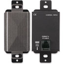 RDL DS-PSP1AF LOUDSPEAKER Active, 2W, Format-A, stainless steel