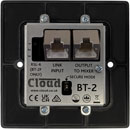 CLOUD BT-2EB BLUETOOTH INPUT PLATE Bluetooth, extension port, linking, black
