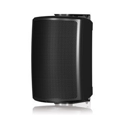 TANNOY AMS 5DC LOUDSPEAKER 5-inch, dual concentric, 50W, 70V/100V/16ohms, black