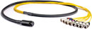 CANFORD MIL26 BREAKOUT CABLE MIL26 female to 4x XLR male and 4x XLR female, 2 metres