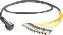 CANFORD TOURLINE BREAKOUT CABLES - 25 and 37 pin