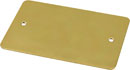 CANFORD F00PB CONNECTOR PLATE 2-gang, blank, polished brass
