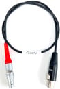 AMBIENT LTC-OUT-DBSM TIMECODE CABLE Output, 5-pin Lemo to TA5F
