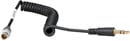AMBIENT TC-IO-35 TIMECODE CABLE Bi-directional, 5-pin Lemo to 3.5mm TRS jack, coiled cable