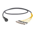 CANFORD TOURLINE BREAKOUT CABLES - 25 and 37 pin