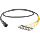 CANFORD TOURLINE25 BREAKOUT CABLE Tourline25 male to 8x XLR male, 2 metres