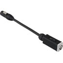 CANFORD MAINS CONVERTER CABLE Powercon output NAC3MPXXB - Powercon TRUE1 cable output NAC3M-TRUE1-S