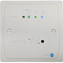 CLOUD BT-2EW BLUETOOTH INPUT PLATE Bluetooth, extension port, linking, white